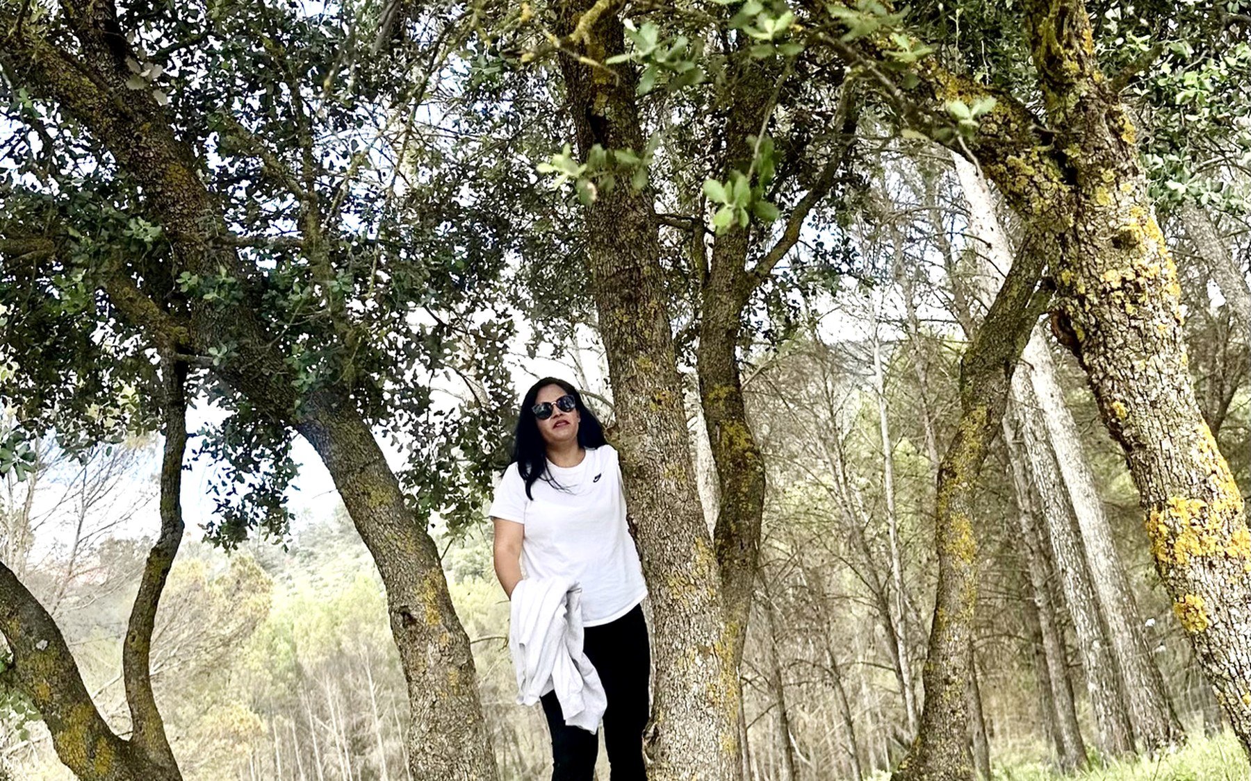 Mavila caminando en un bosque